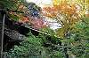 sankeien_1423_mini.jpg