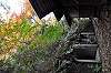 sankeien_1429_mini.jpg