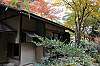 sankeien_1430_mini.jpg
