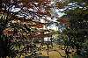 sankeien_1437_mini.jpg