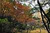 sankeien_1440_mini.jpg