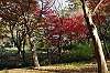 sankeien_1456_mini.jpg