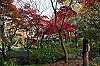 sankeien_1457_mini.jpg