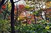 sankeien_1459_mini.jpg