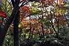 sankeien_1460_mini.jpg