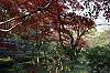 sankeien_1461_mini.jpg