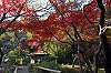 sankeien_1462_mini.jpg