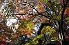 sankeien_1467_mini.jpg