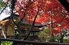 sankeien_1469_mini.jpg
