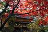 sankeien_1470_mini.jpg