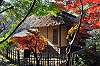 sankeien_1473_mini.jpg