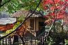 sankeien_1474_mini.jpg