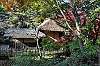 sankeien_1476_mini.jpg