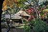 sankeien_1477_mini.jpg