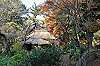 sankeien_1479_mini.jpg