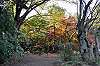 sankeien_1499_mini.jpg