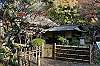 sankeien_1501_mini.jpg