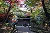 sankeien_1505_mini.jpg
