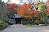 sankeien_1517_mini.jpg