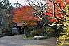 sankeien_1518_mini.jpg