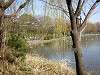 shinobazu_0112_mini.jpg