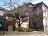 ueno_0009_mini.jpg