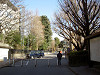 ueno_0012_mini.jpg