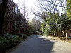 ueno_0013_mini.jpg