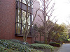 ueno_0015_mini.jpg
