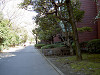ueno_0018_mini.jpg