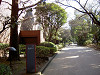 ueno_0019_mini.jpg