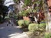 ueno_0020_mini.jpg