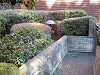 ueno_0021_mini.jpg