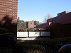 ueno_0022_mini.jpg
