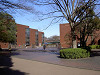 ueno_0025_mini.jpg