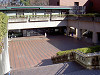 ueno_0029_mini.jpg