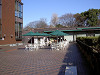 ueno_0030_mini.jpg