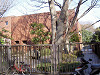 ueno_0032_mini.jpg