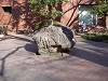 ueno_0034_mini.jpg