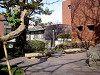 ueno_0036_mini.jpg
