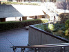ueno_0037_mini.jpg