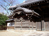 ueno_0039_mini.jpg