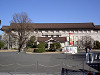 ueno_0048_mini.jpg