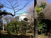 ueno_0049_mini.jpg