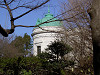 ueno_0050_mini.jpg
