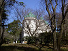 ueno_0053_mini.jpg