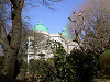 ueno_0055_mini.jpg