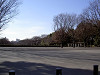 ueno_0056_mini.jpg