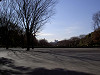 ueno_0057_mini.jpg