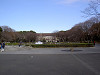 ueno_0113_mini.jpg